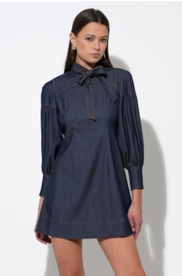 Lilith Denim Mini Dress