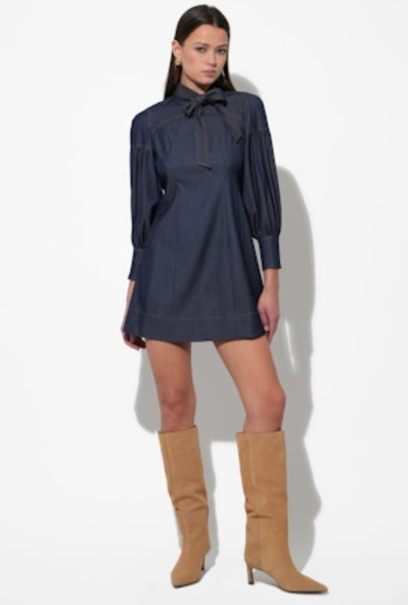 Lilith Denim Mini Dress