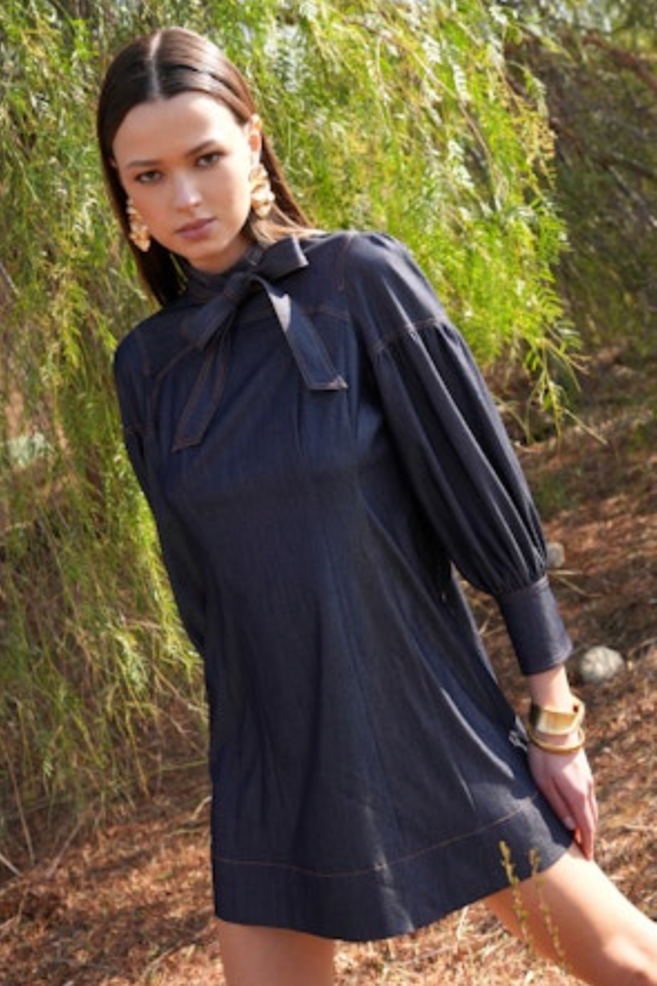 Lilith Denim Mini Dress