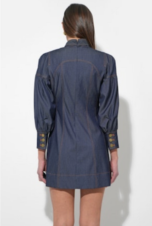 Lilith Denim Mini Dress