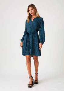 Zigzag Button Down Mini Dress
