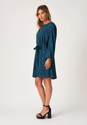 Zigzag Button Down Mini Dress