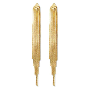 Long and Sassy Delicate Earrings