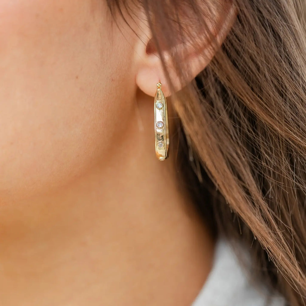 Oblong Latchback Earrings