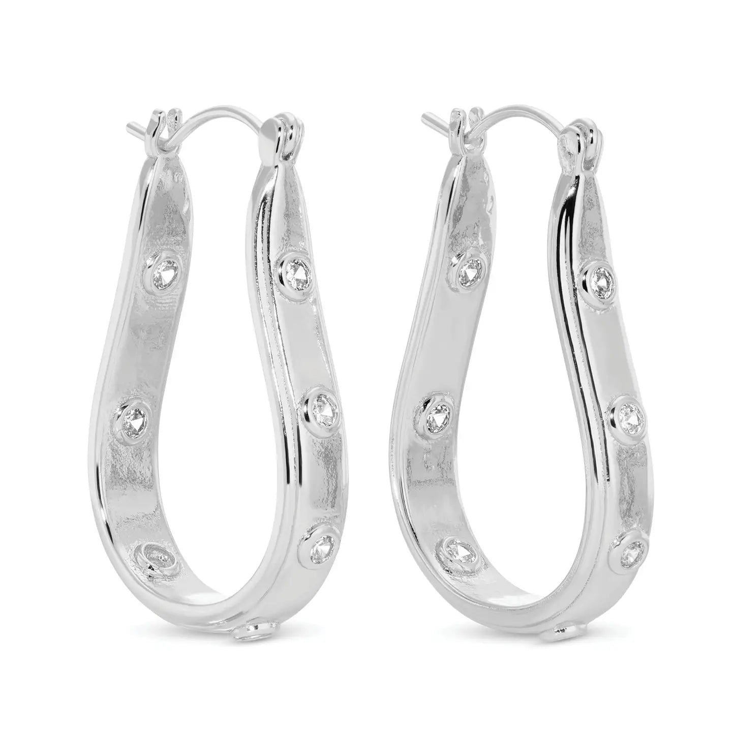 Oblong Latchback Earrings