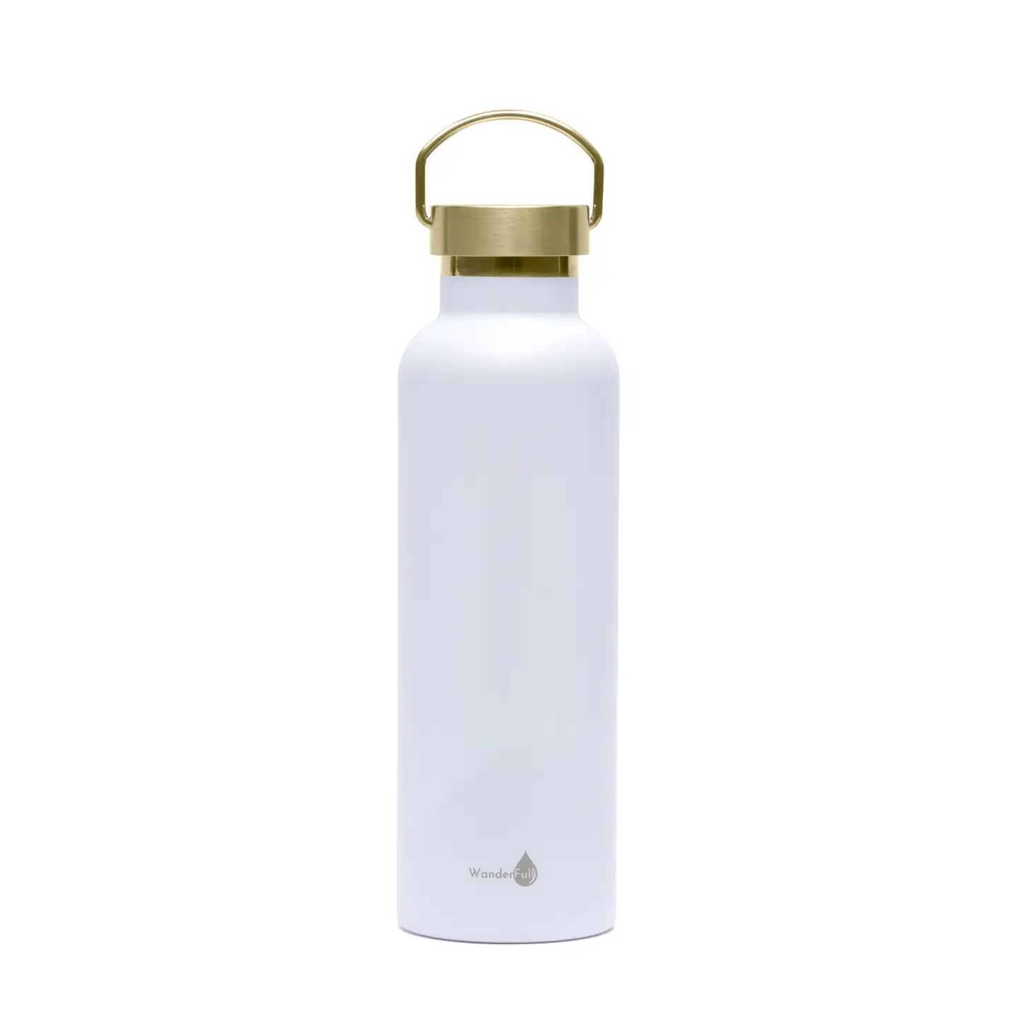 Insulated Water Bottle